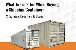 What to Look for When Buying a Shipping Container: Size, Price, Condition & Usage
